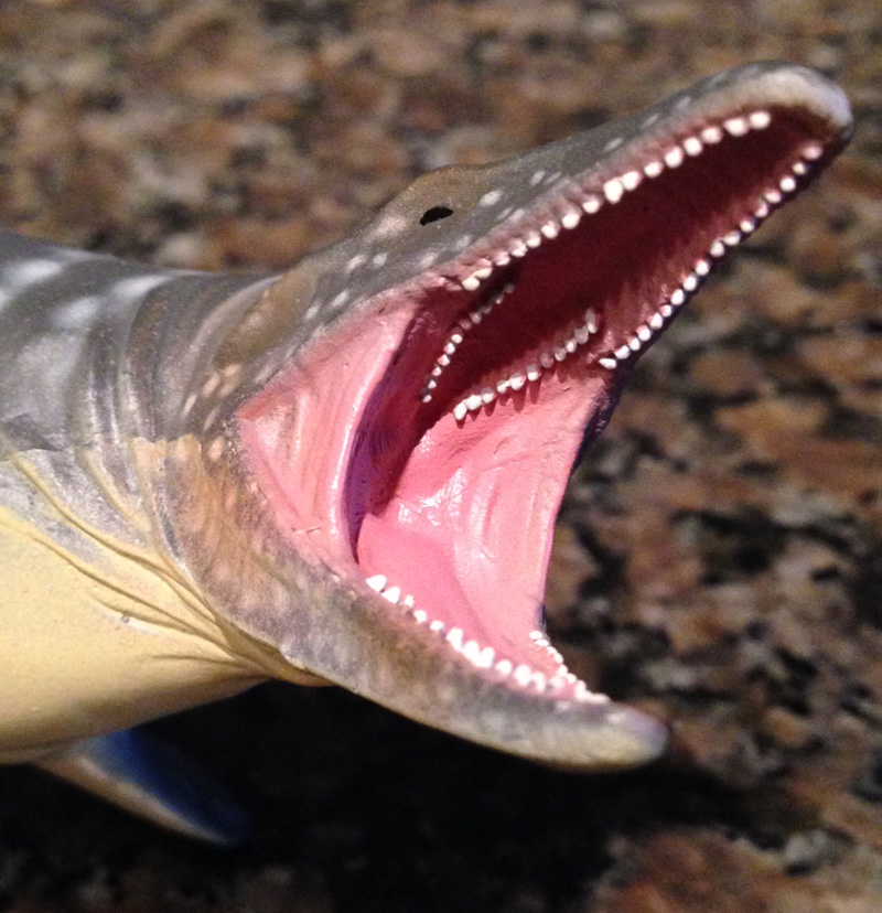 Mosasaurus (CollectA) | Dinosaur Toy Blog