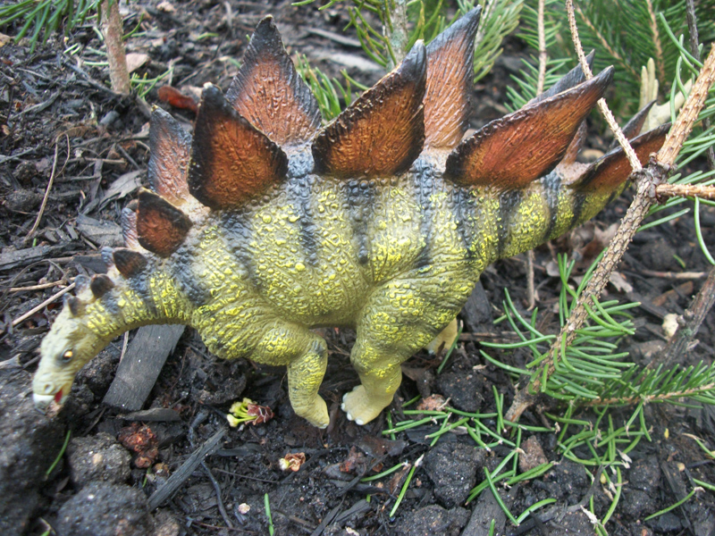 stegosaurus teeth