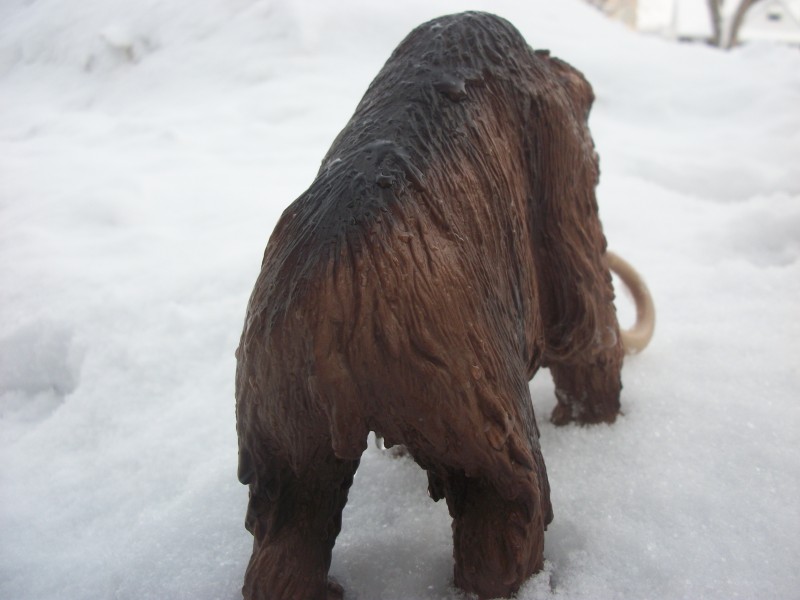 Schleich Wooly Mammoth 5 Dinosaur Toy Blog