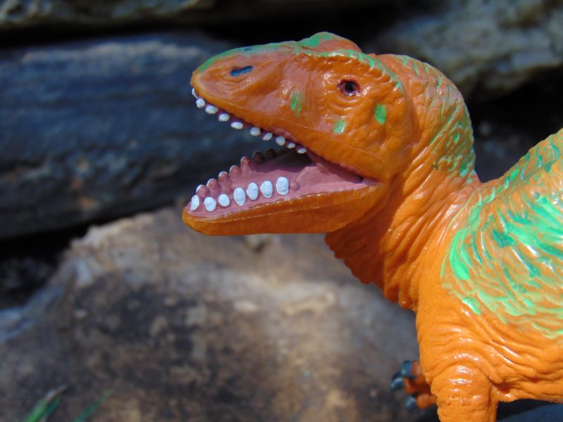 schleich carcharodontosaurus