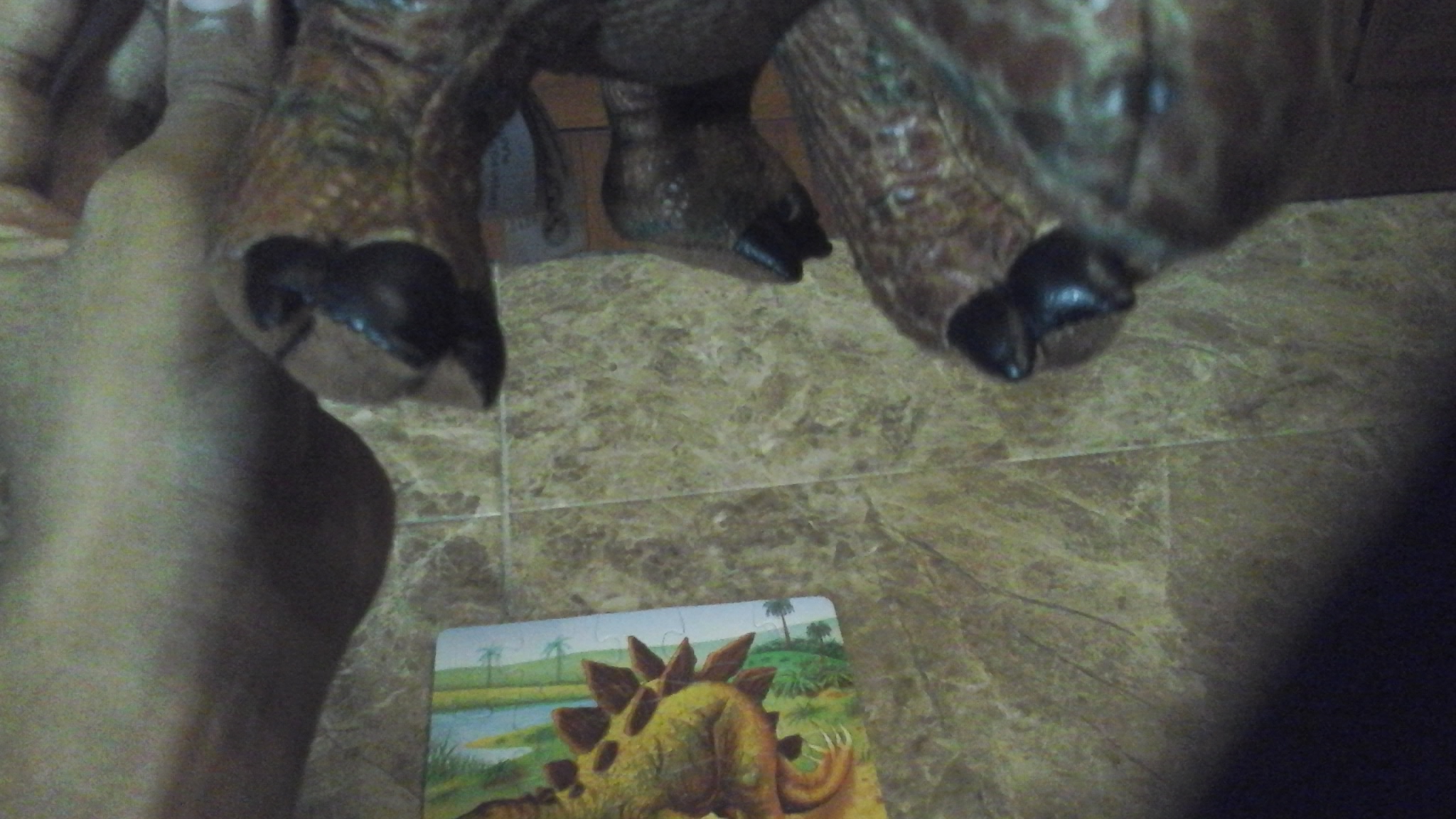 stegosaurus national geographic