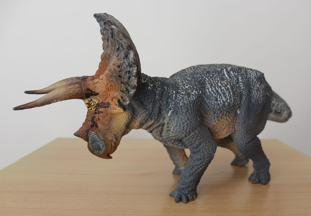 PNSO Triceratops