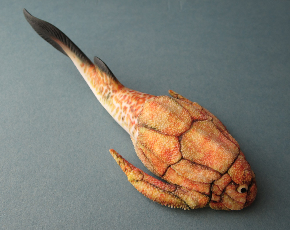 Bothriolepis Paleozoo