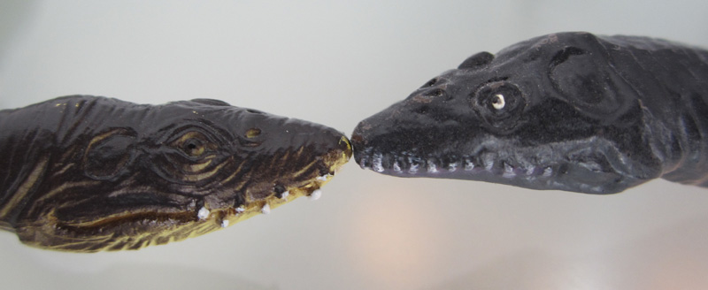 Plesiosaurs Favorite comparison