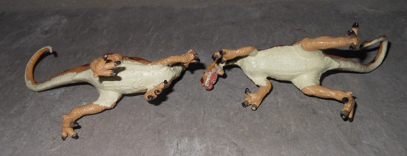 Dilophosaurus pair Carnegie Collection 