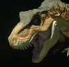 avatar_Northern Tyrannosaur