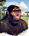 avatar_Geraldopithecus
