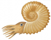 avatar_Cephalopod