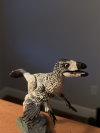 avatar_TheCanadianStenonychosaur