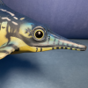 avatar_TooOldForDinosaurs