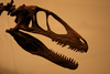 avatar_Deinonychus!