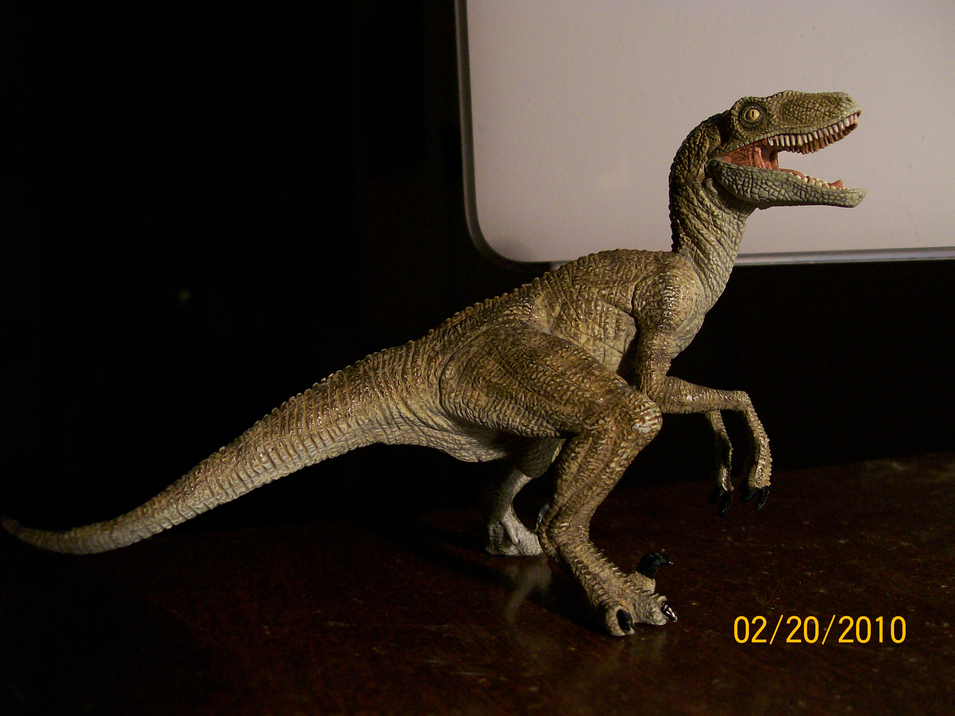 Velociraptor Papo Dinosaur Toy Blog