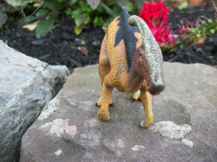 Parasaurolophus mojo 8