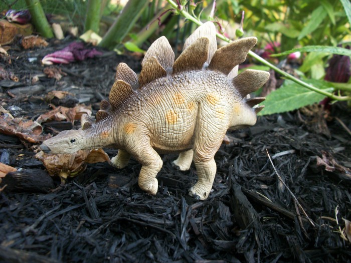 Stegosaurus Schleich 4