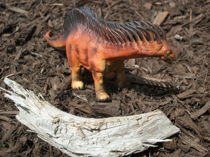 Amargasaurus 2