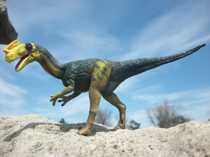 Proceratosaurus 17