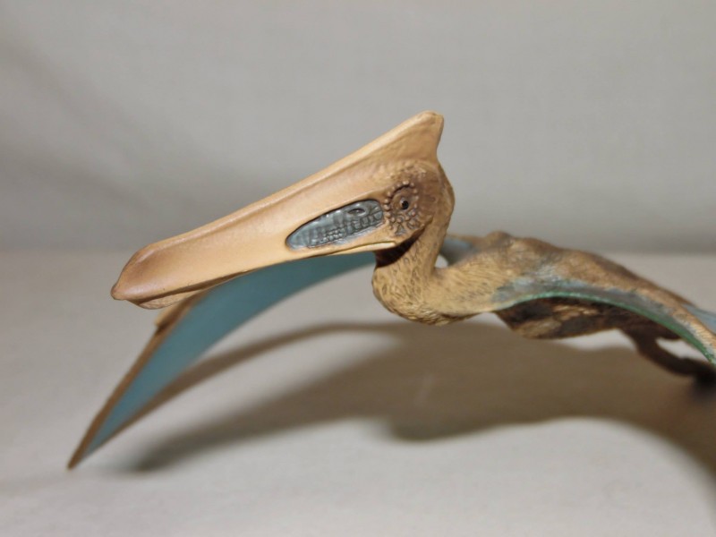 Quetzalcoatlus (World of History by Schleich) – Dinosaur Toy Blog