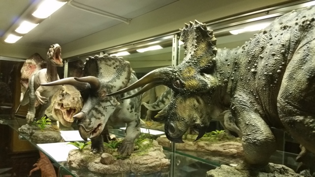 Since this model is 20” long and hits the 1:15 scale made popular by Shane Foulkes, it seemed only fitting to set it beside its resin counterpart in the display case. The 1:15 Foulkes Allosaurus can be glimpsed further back.