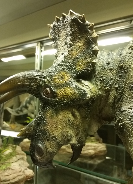 ssdinosauriasideshow_triceratops (5)