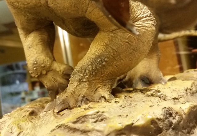 ssdinosauriasideshow_triceratops (9)