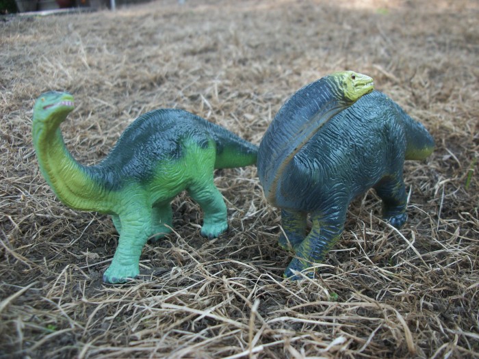Apatosaurus baby 1