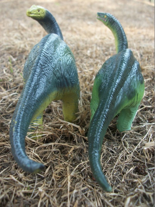 Apatosaurus baby 5