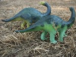 Apatosaurus baby 6