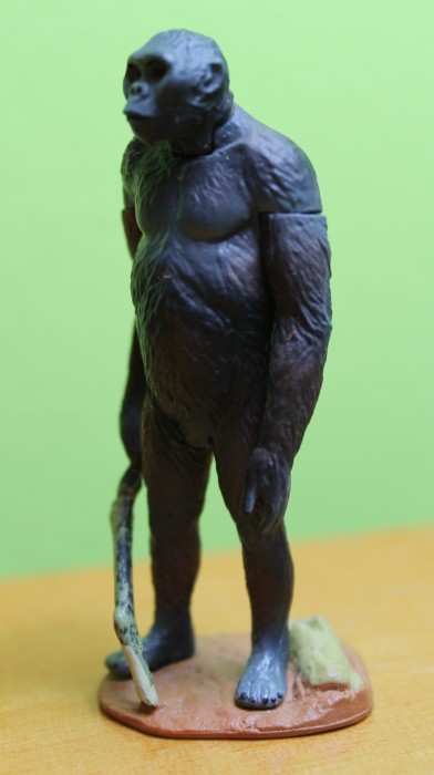 AustralopithecusKaiyodo3