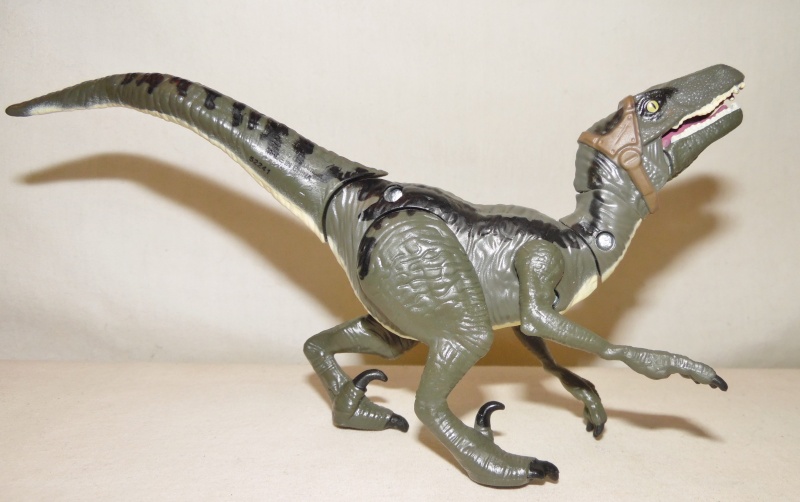 Velociraptor (Jurassic World Bashers and Biters by Hasbro) – Dinosaur ...