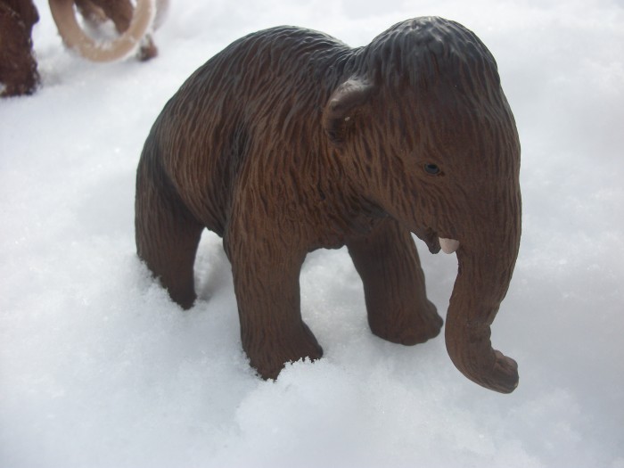 Schleich woolly Mammoth baby 1