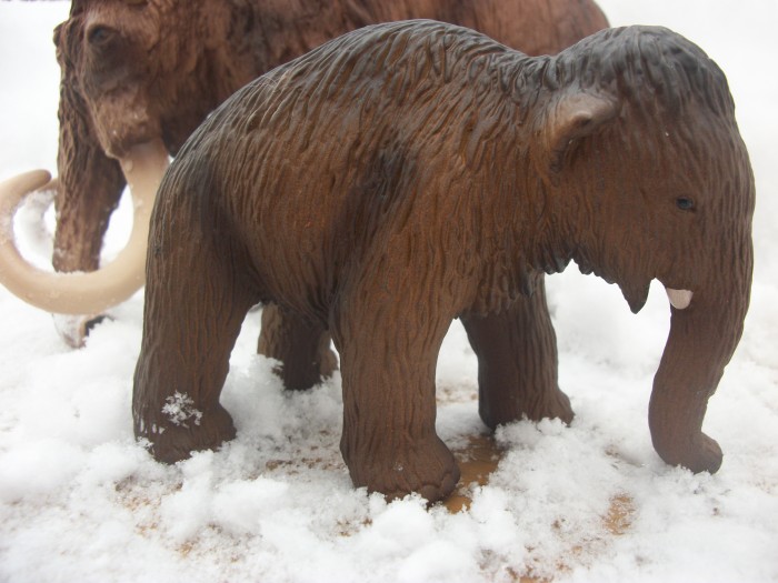 Schleich woolly Mammoth baby 3