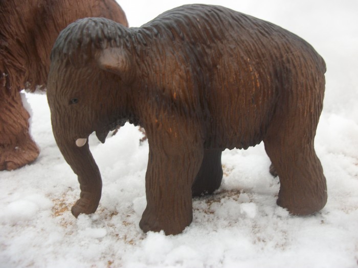 Schleich woolly Mammoth baby 4