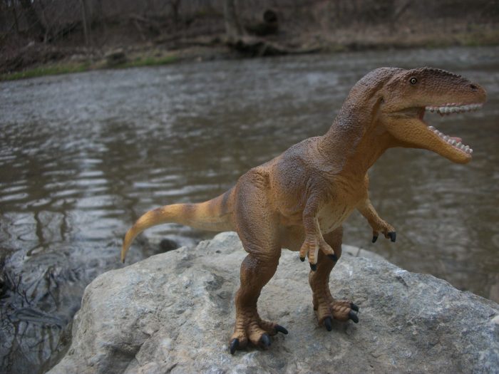 Safari Carcharodontosaurus 1
