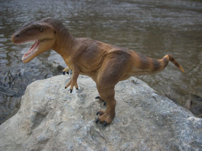 Safari Carcharodontosaurus 4