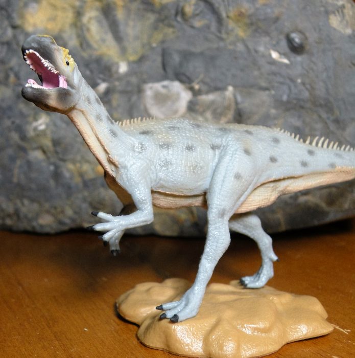 Metriacanthosaurus CollectA