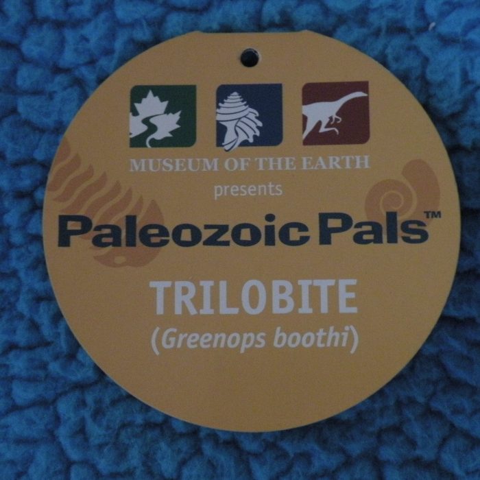 Trilobite Paleozoic Pals