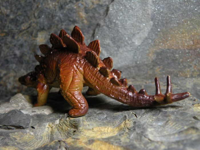 stegosaurus aaa
