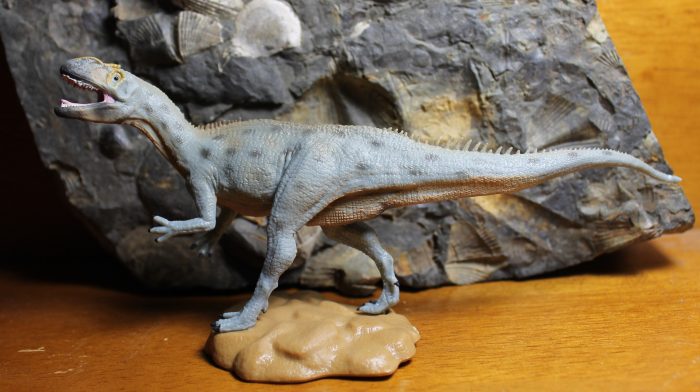 Metriacanthosaurus CollectA