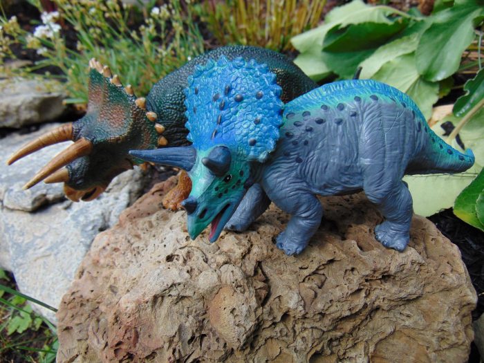 Triceratops Wild Safari 4