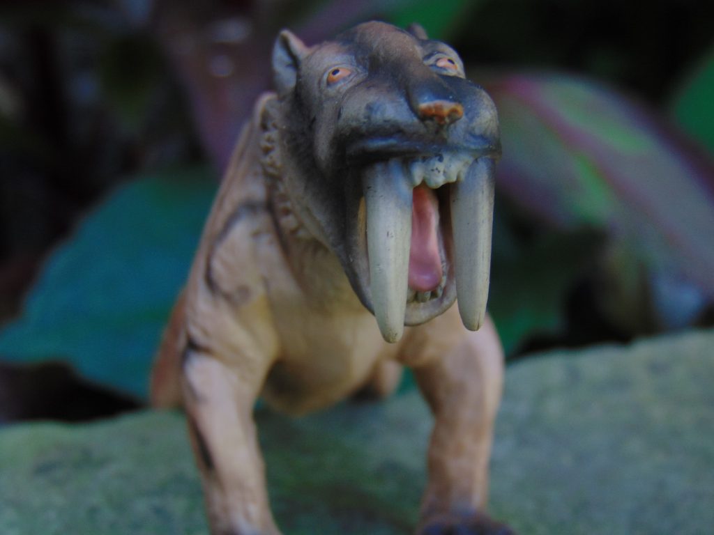 Schleich Smilodon 6 Dinosaur Toy Blog