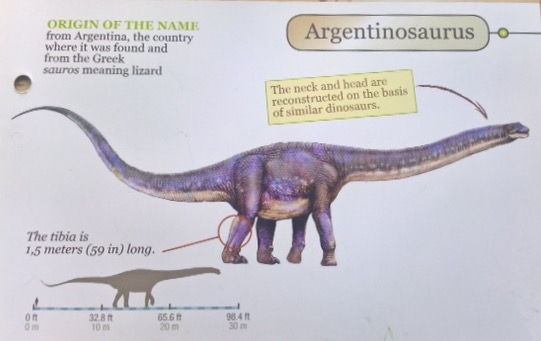 Euhelopus Pictures & Facts - The Dinosaur Database