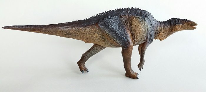 pnsomandschurosaurus2