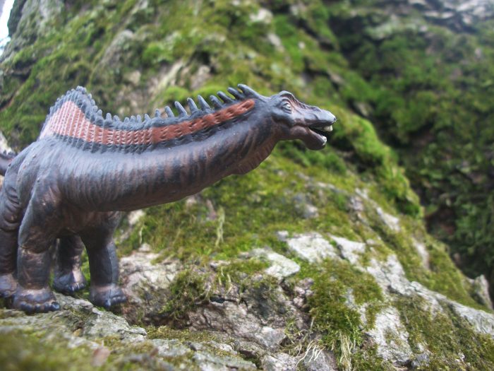 rebbachisaurus-5