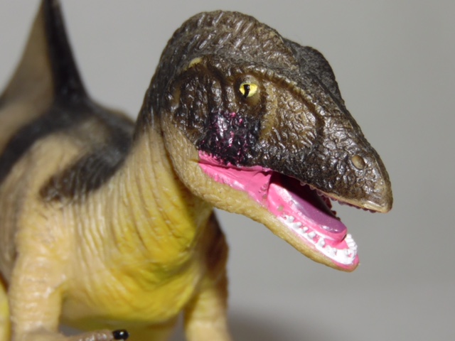 The Papo Concavenator Dinosaur Model Photographed