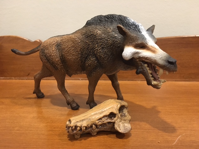 Prehistoric Mammal Skulls (Toob by Safari Ltd.) – Dinosaur Toy Blog