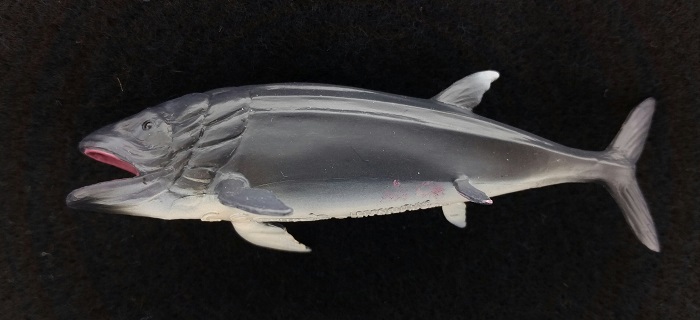 CollectA mini Leedsichthys
