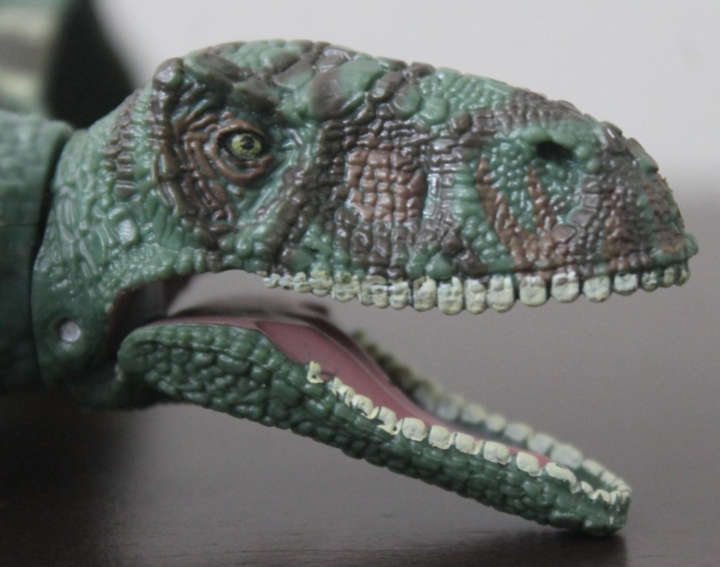 Dimorphodon Jurassic World By Hasbro Dinosaur Toy Blog 