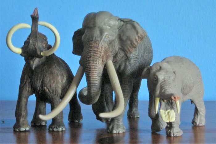 Straight-Tusked Elephant (Eofauna) – Dinosaur Toy Blog