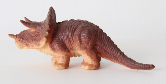 triceratops panini