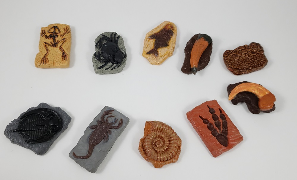 Safari Ltd Ancient Fossils Toob